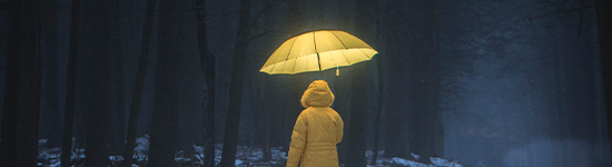 Personal Umbrella Through RLI