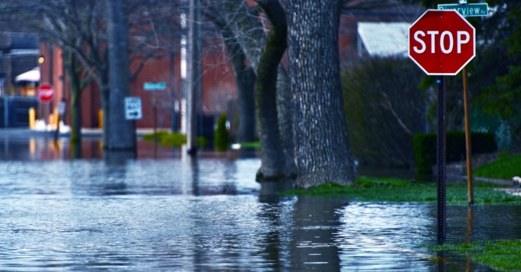 A flooded empty road.