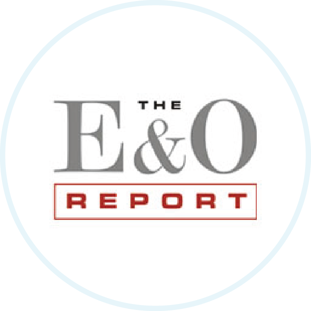 The E&O Report icon.
